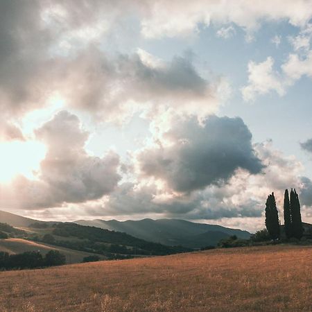 Il Cantuccio Di Monteverdi Marittimo, Borgo Di Canneto Canneto  Dış mekan fotoğraf